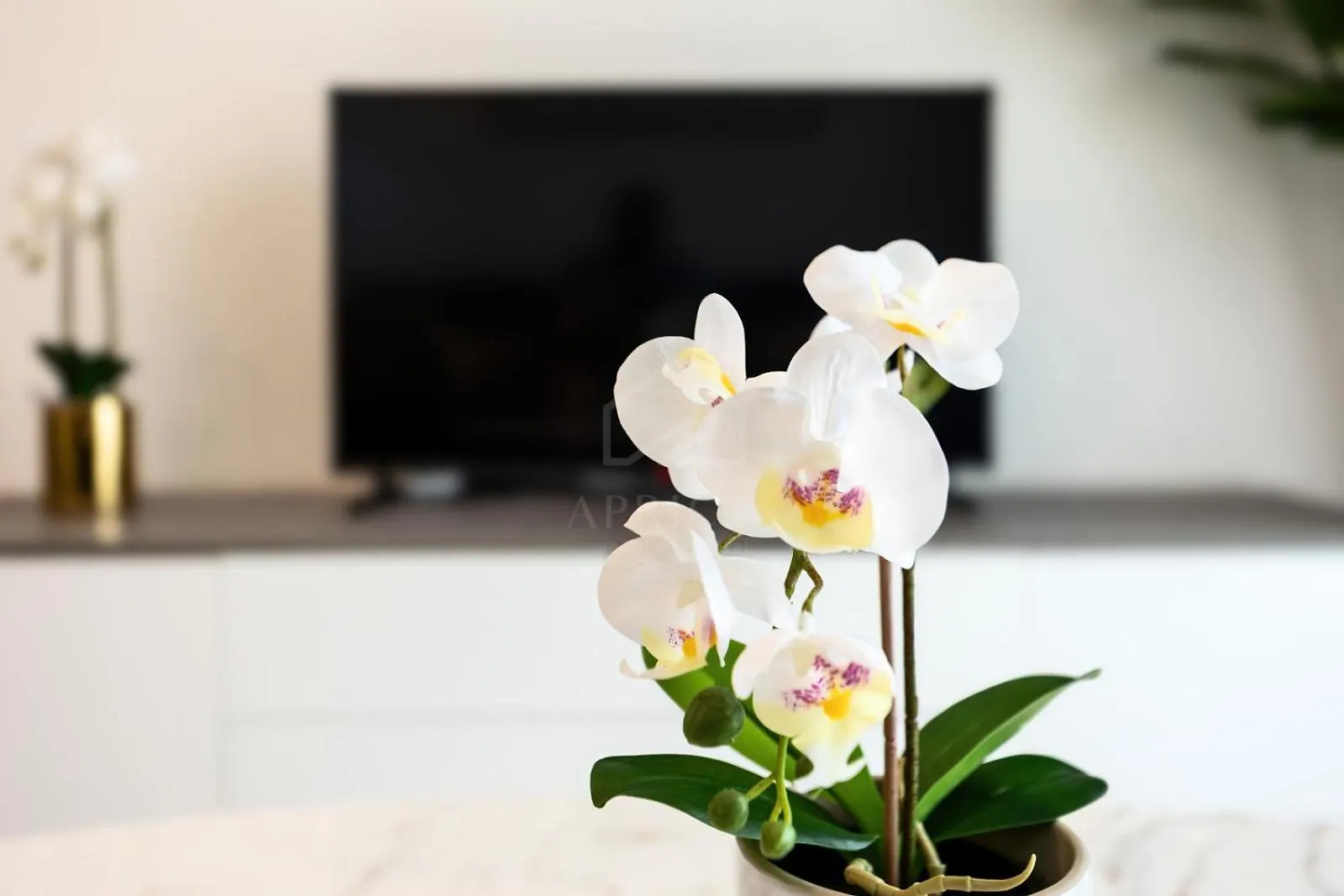 Elegant 1-Bedroom Apartment At Bloom Heights Dubai